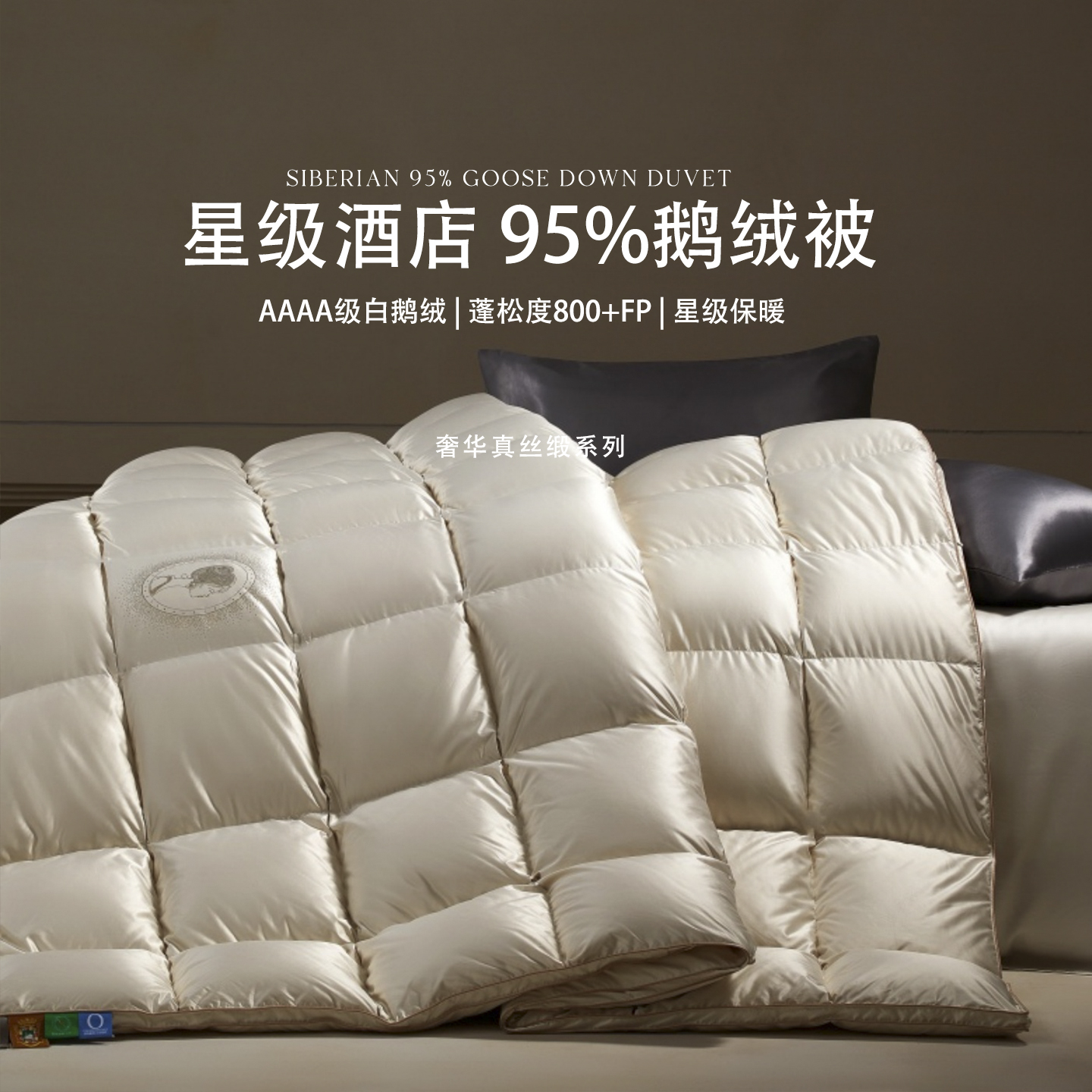 真丝缎高蓬松羽绒被鹅绒被大牌同款真米字保暖冬季保暖发热羽绒被