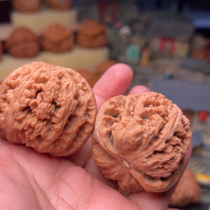 归***去核桃46大粗筋大粗筋