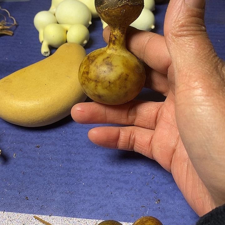 酒***子葫芦青皮花皮莲花头手把