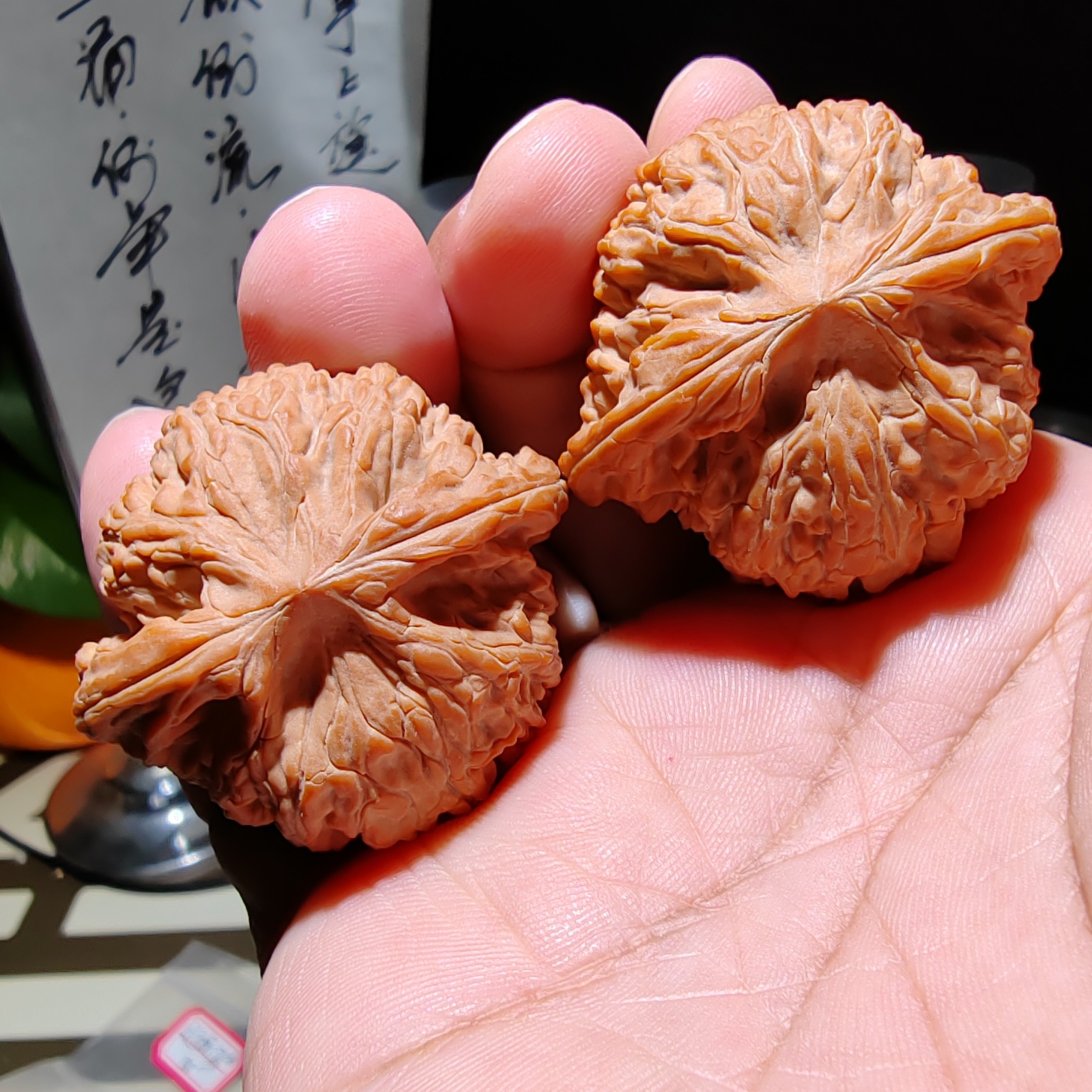 超红皮大克重，45+尺头茬精配全品保真磨盘狮子头，所见即所得！
