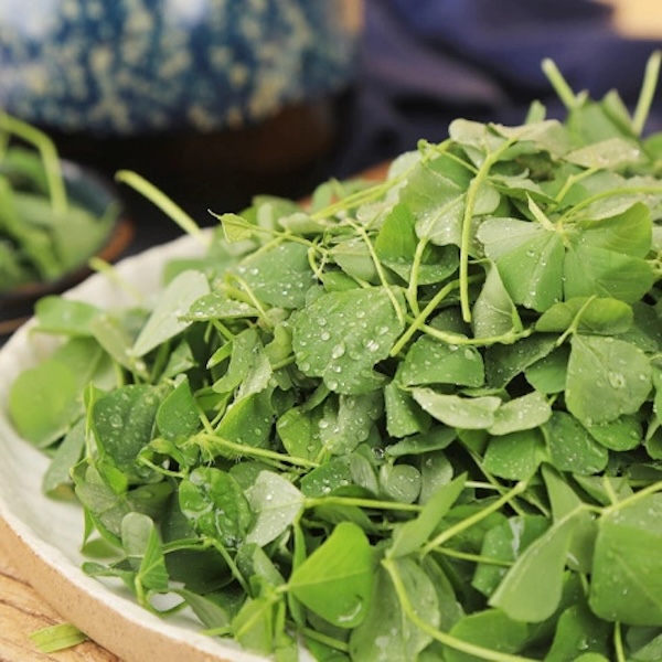 【上海金山】本地露天草头