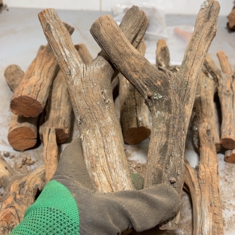 大果紫檀（缅甸花梨）佳