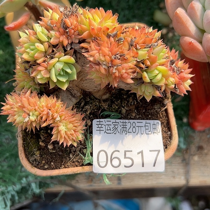 幸运的人是我自己吧笑得