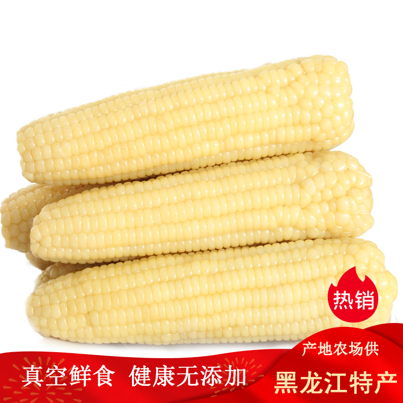 东北特好吃10根5-6斤】东北糯玉米甜糯粘白玉米棒真空早晚餐粗粮