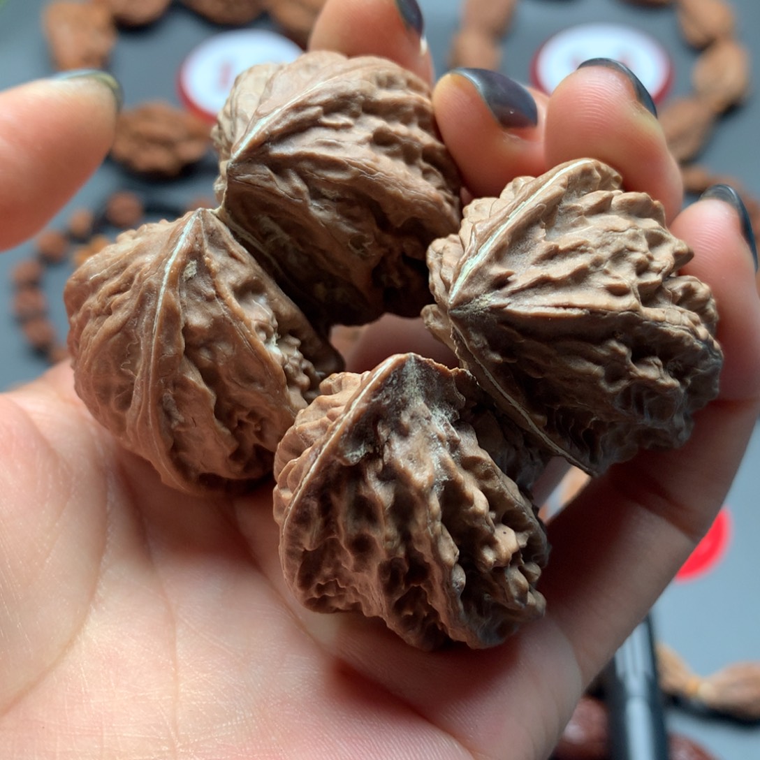 核桃20东北秋子双棒