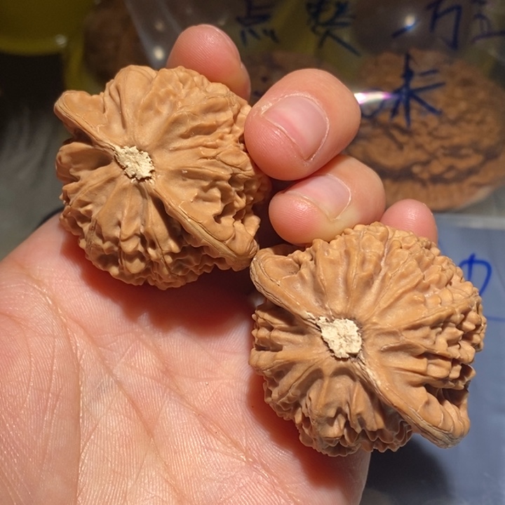 两***柚文玩核桃吊坠精品课程的教学和科研工作