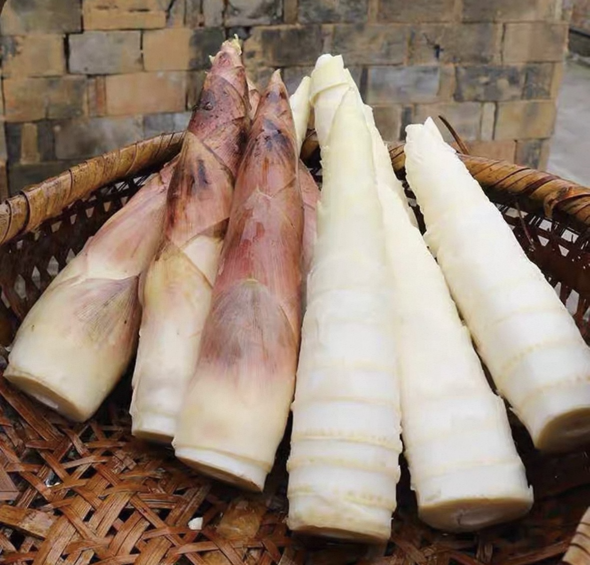 江西红土地饱满脆嫩雷笋现挖AA