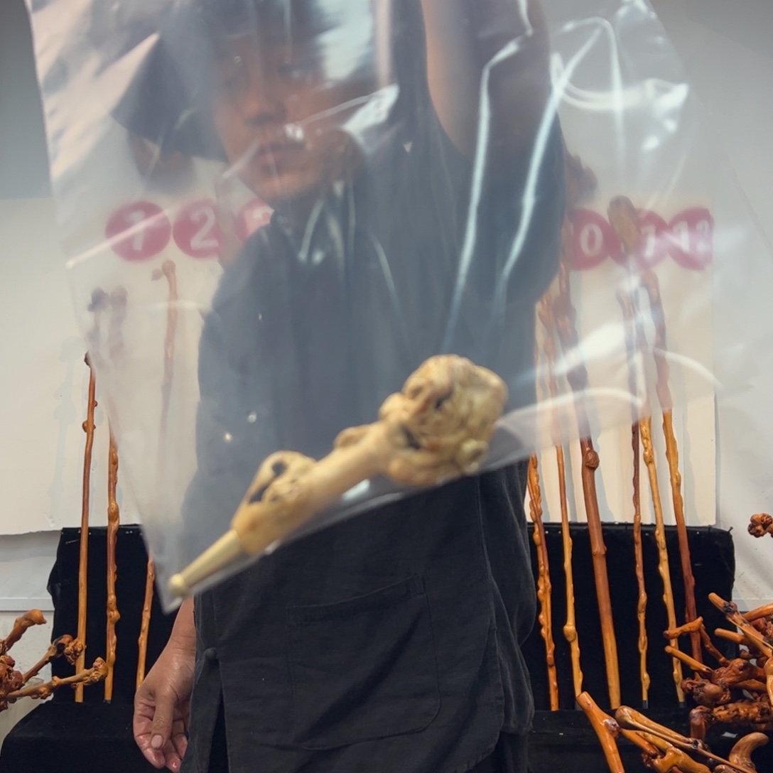 其他黑果木黑果木967