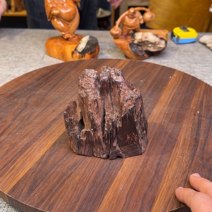 柏木（崖柏）关注一下