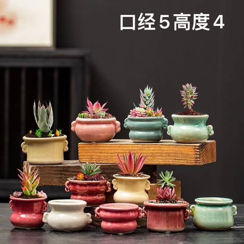 小花盆口5左右随机一个