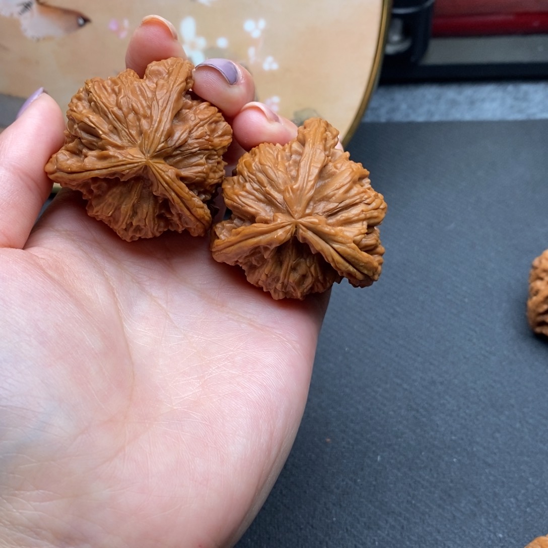 ぶ****づ白狮子111111111111