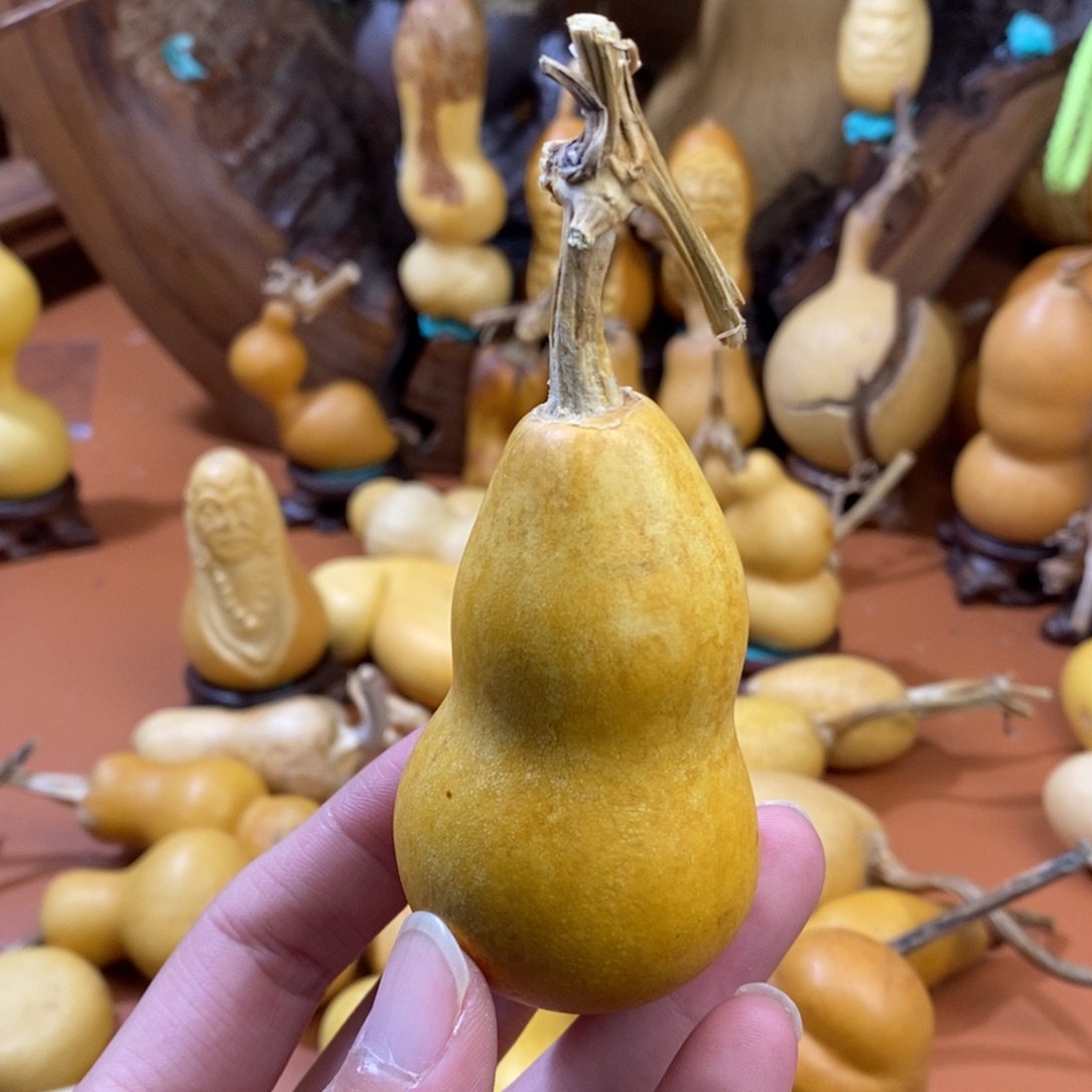 心***静啦啦教练咯考虑教练咯