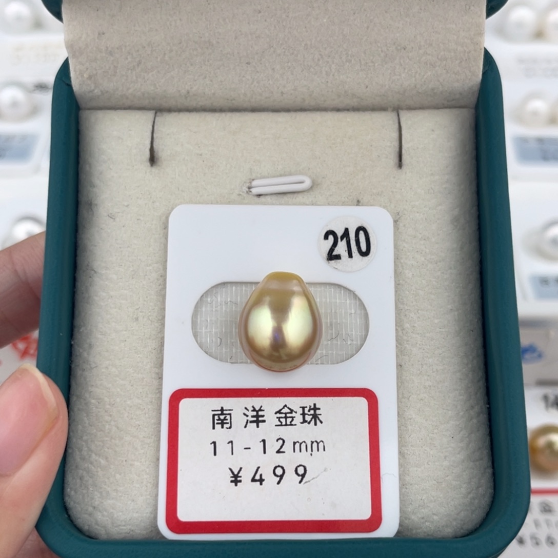 未镶嵌南洋金珠11-12海水珍珠