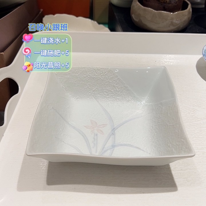 露***味瓷异型磨砂小四方钵超美