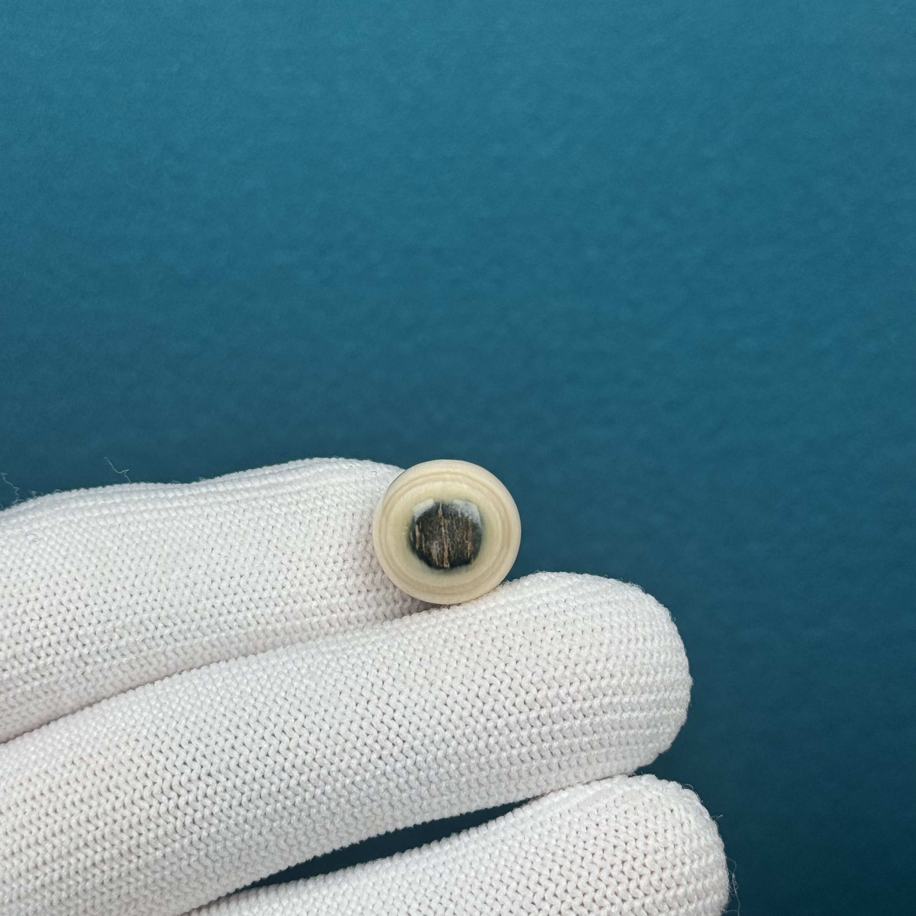 D45-60天然猛犸牙 蓝眼睛圆珠 13.2mm一物一图假一罚十