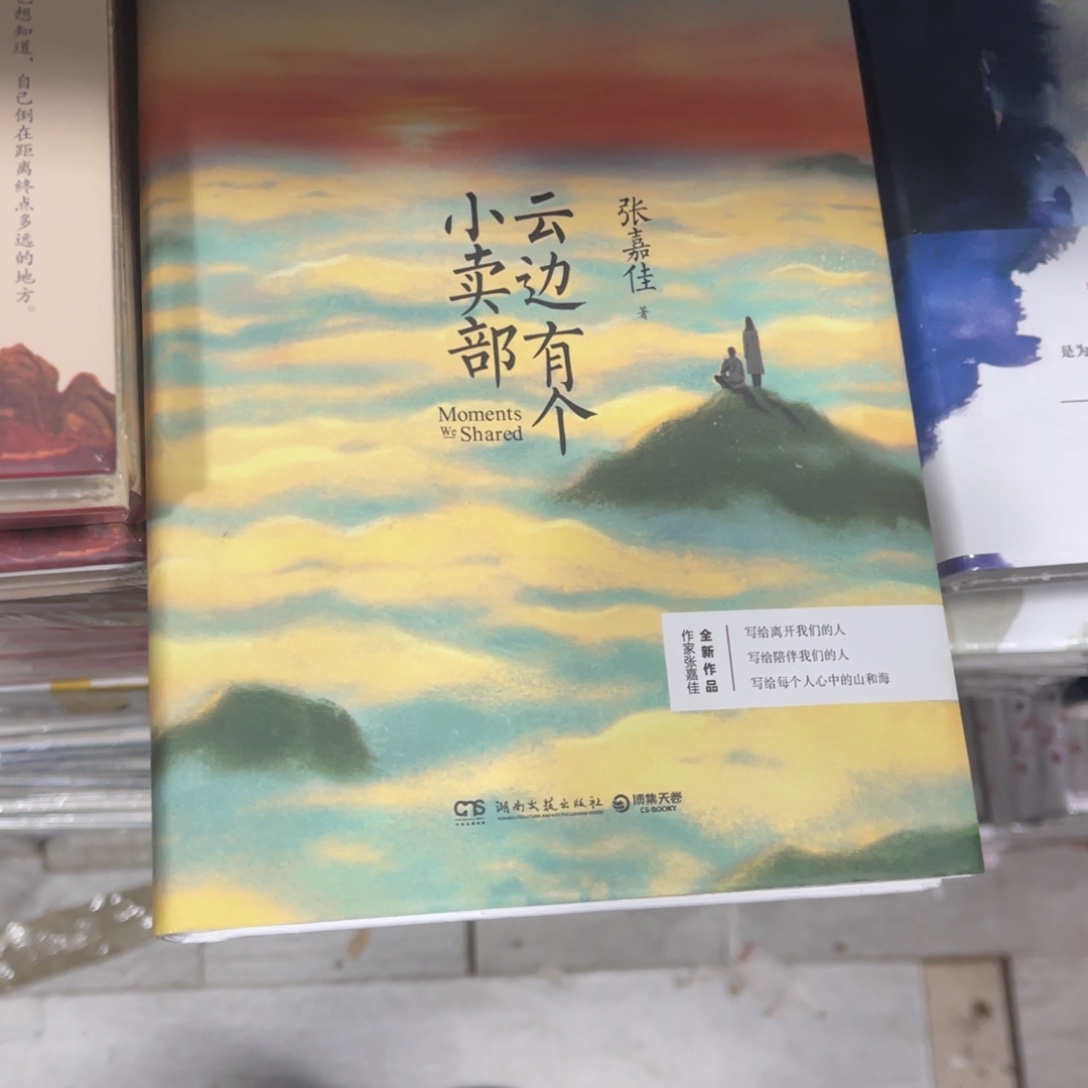 云边有个小卖部精装一个