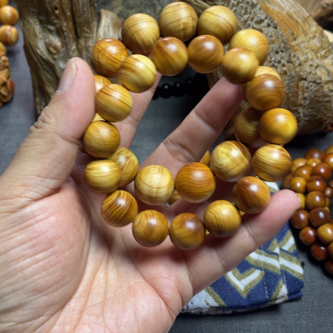 柏木（崖柏）太行1.5和1.8