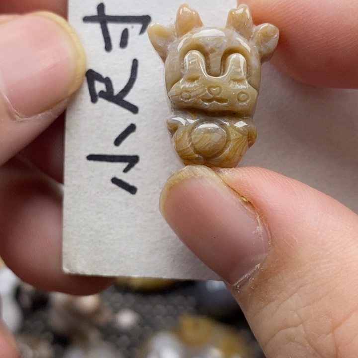 颈饰未镶嵌硅化珊瑚（珊瑚玉）