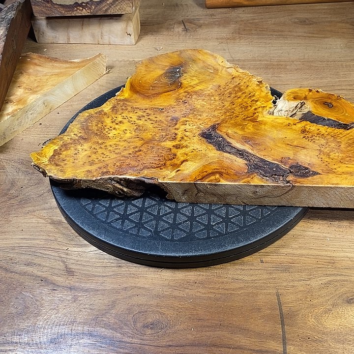 大果紫檀（缅甸花梨）H*