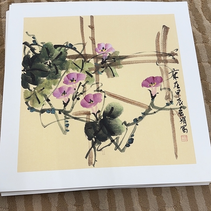 国画花鸟等多种鸟类的栖息地和栖息地