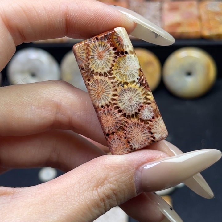 未镶嵌吊坠硅化珊瑚（珊瑚玉）