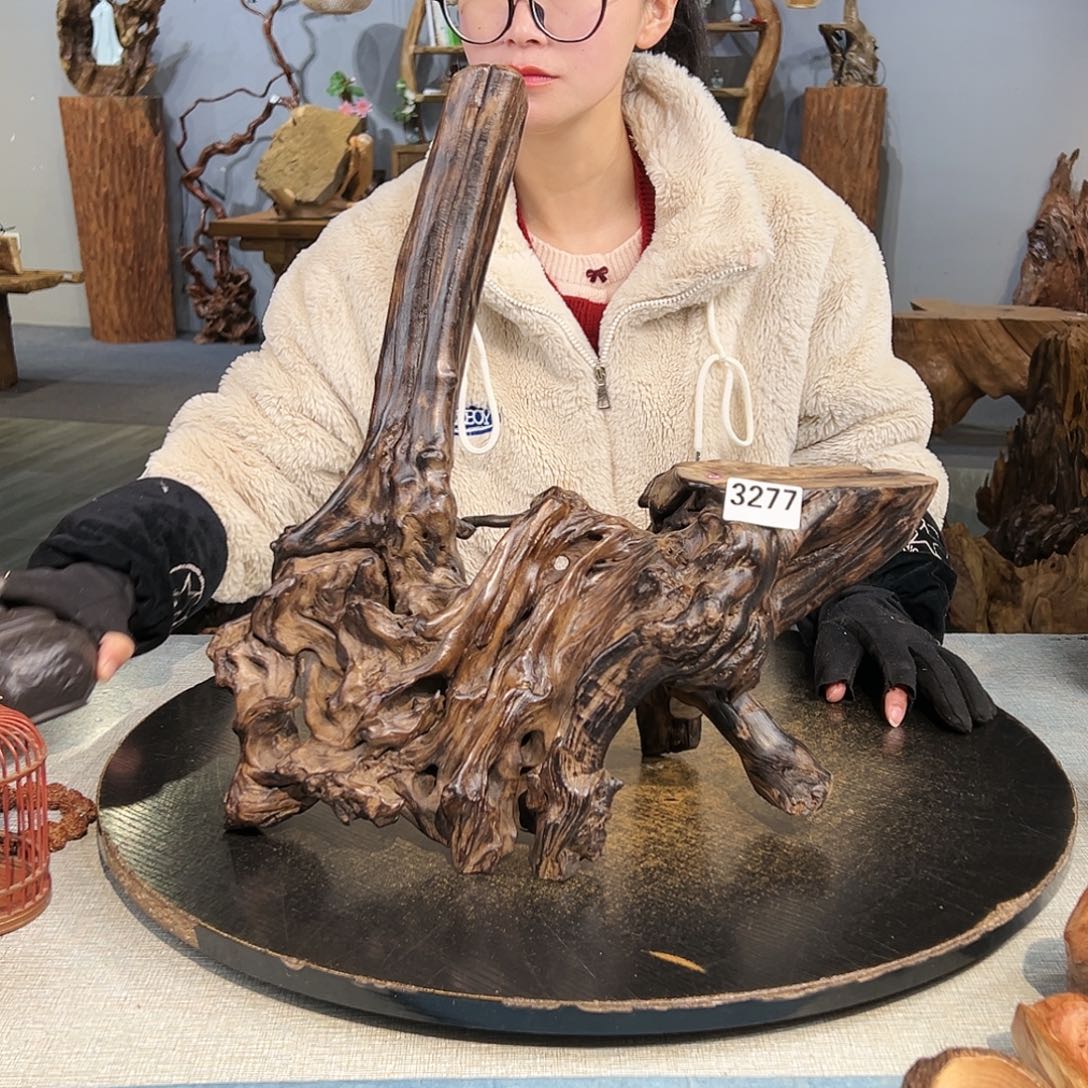 木禅**养3277tfyhghjjjj