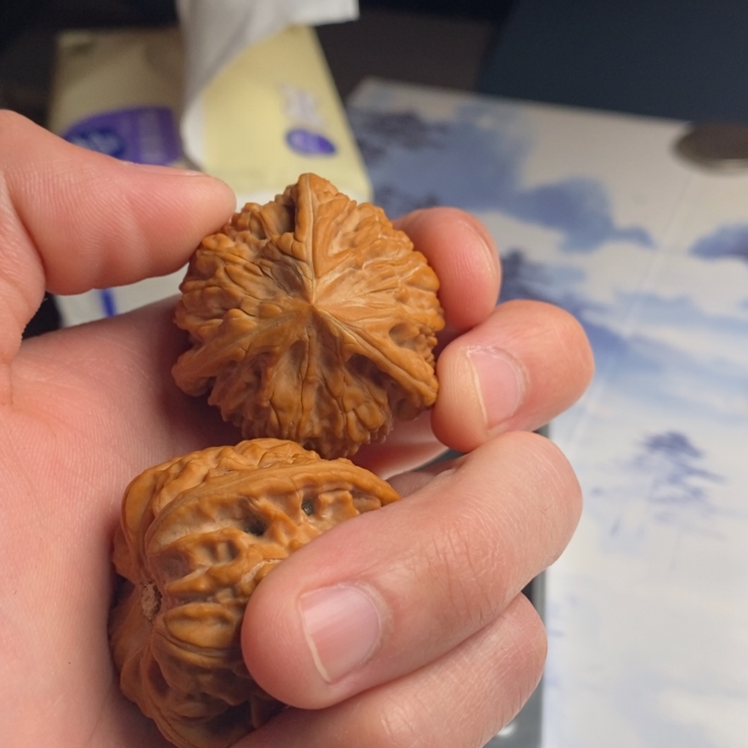 消***得文玩核桃把件御龙