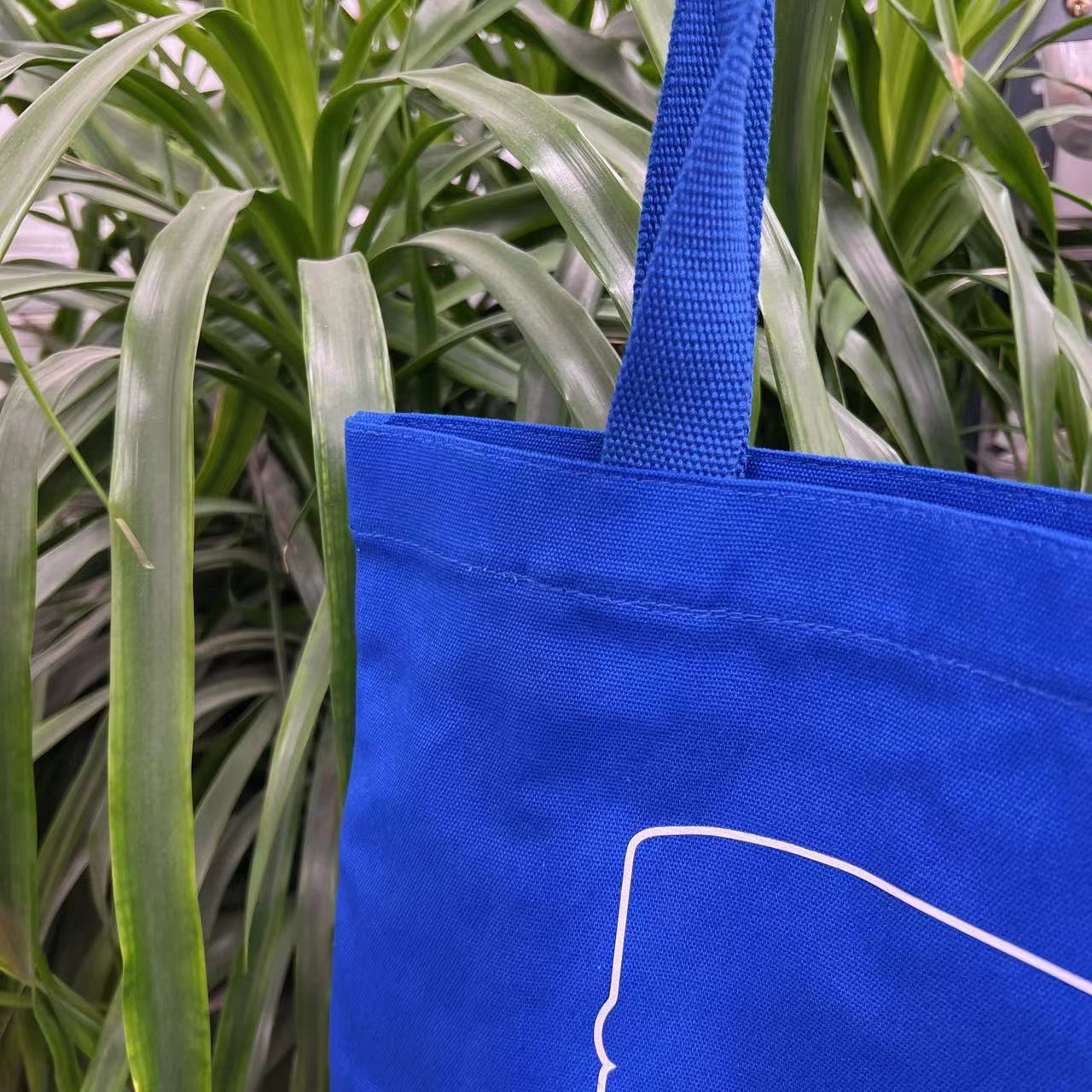 【太稀缺了吧！】蓝色鱼家！莱！单肩托特包收纳包