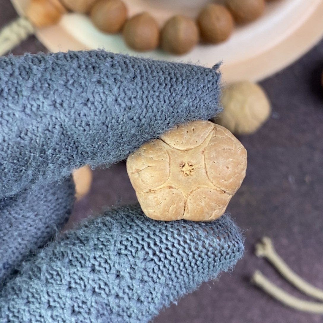 吊坠凤眼菩提19.4五星单颗