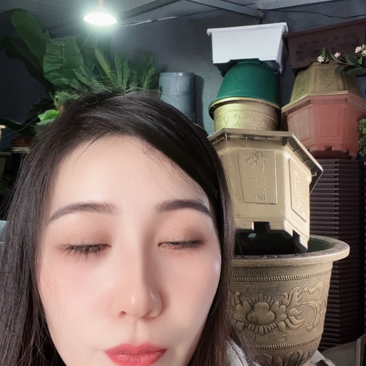 八角50口径花盆两个