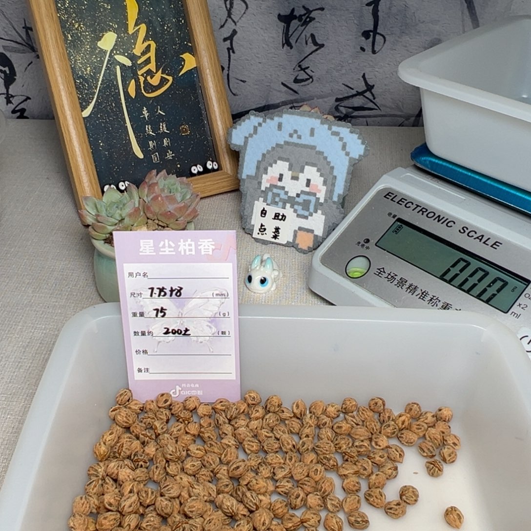 柏香籽/百香籽吊坠