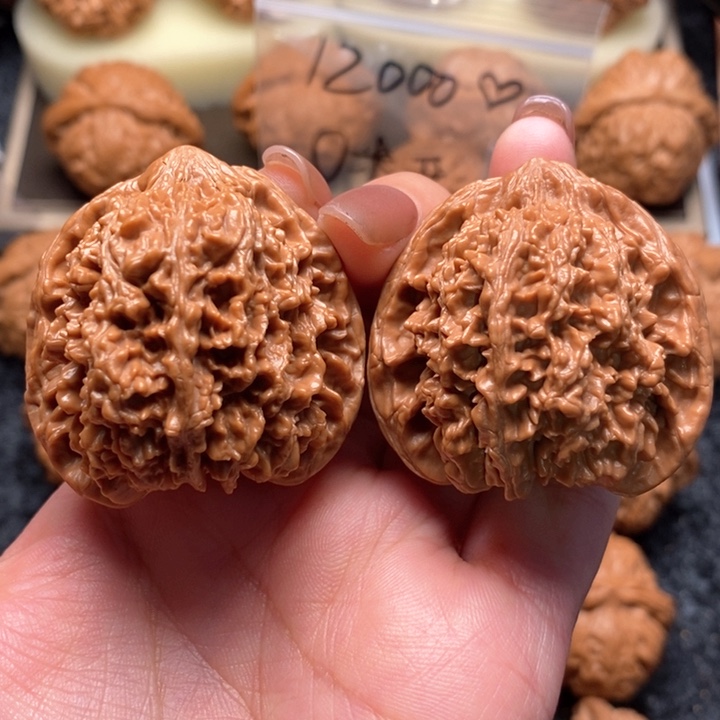文玩核桃把件白***子精品满天星41
