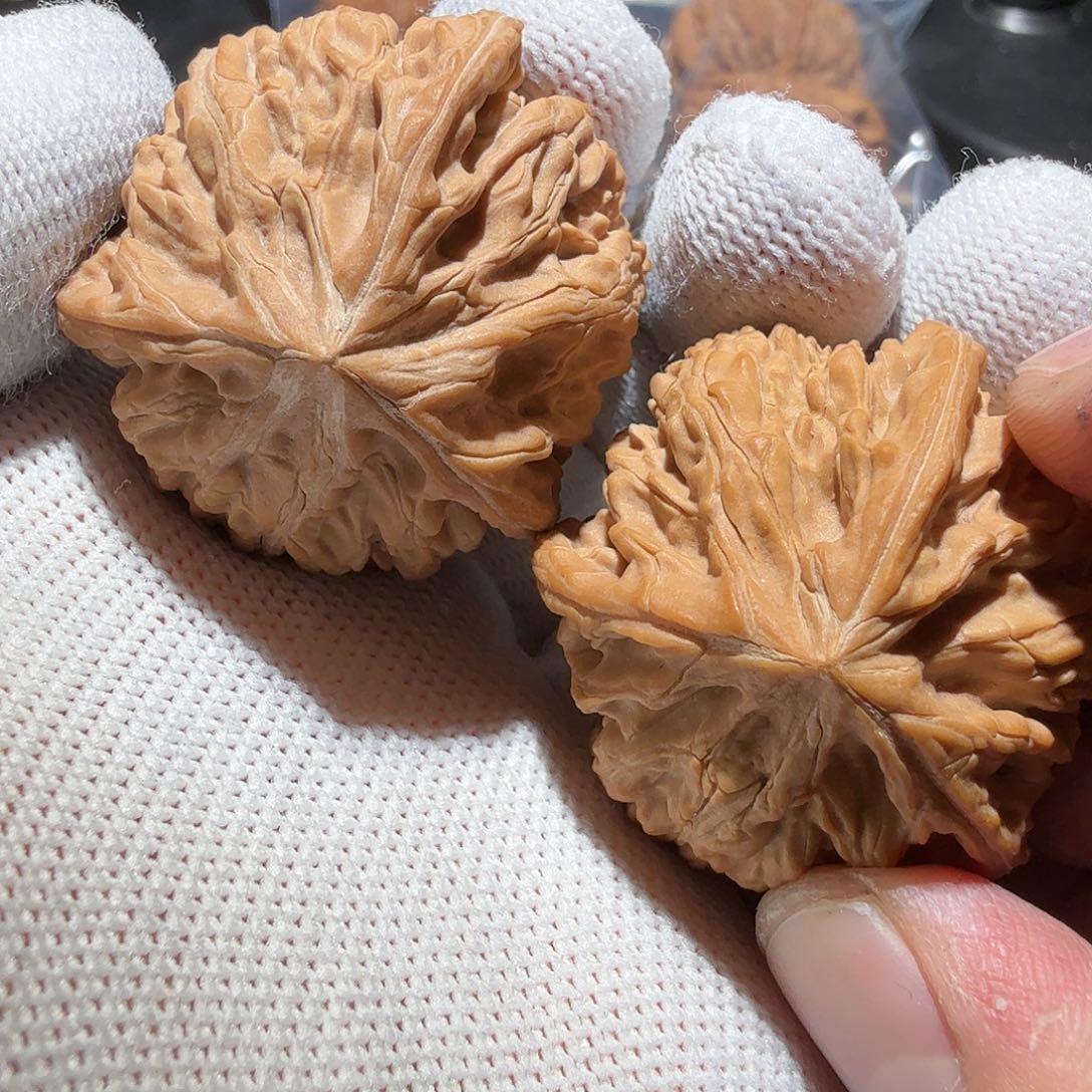 文玩核桃把件御龙
