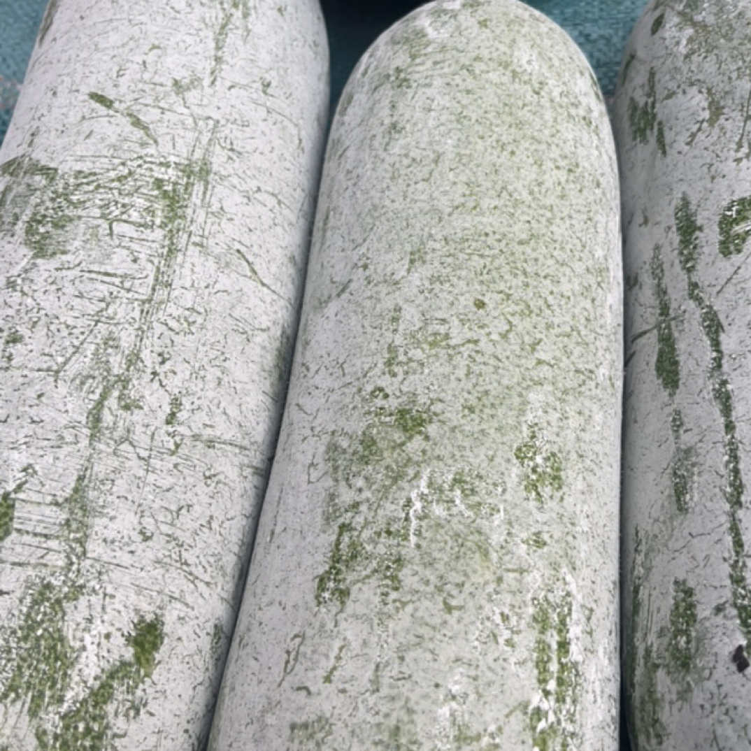 老品种冬瓜集市现收山货