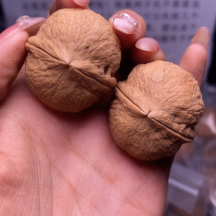 核桃云南野生铁核桃181号36mm