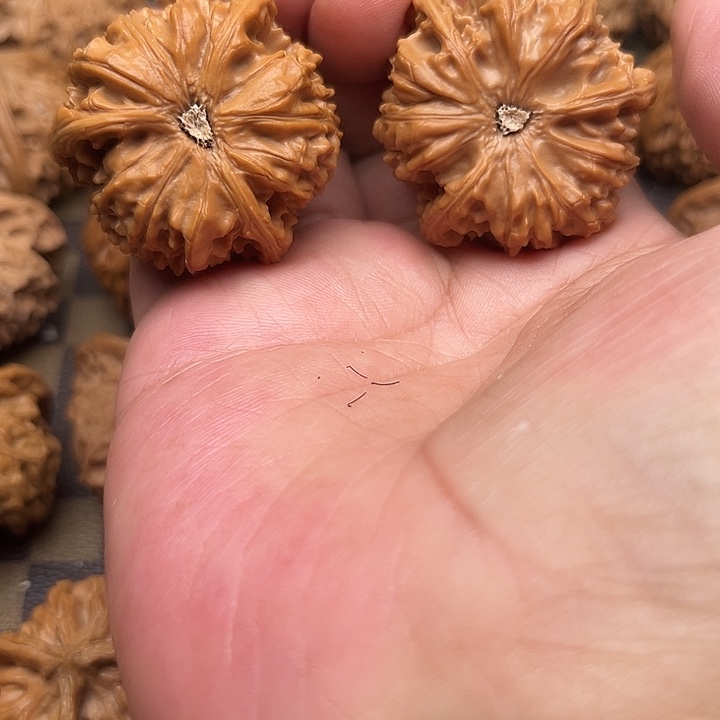 0***0文玩核桃吊坠你们都在