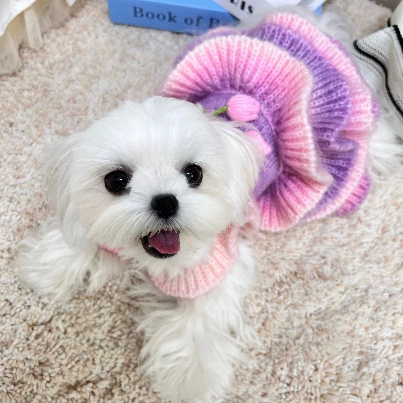 狗狗猫咪马尔济斯比熊秋冬渐变色毛衣公主蓬蓬裙礼服裙小型犬衣服