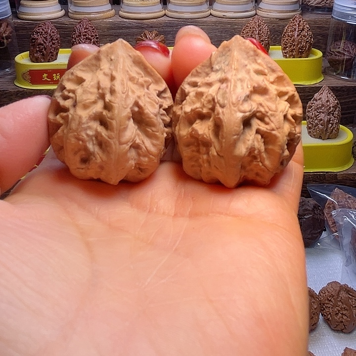 核桃67号车fanglouloulou