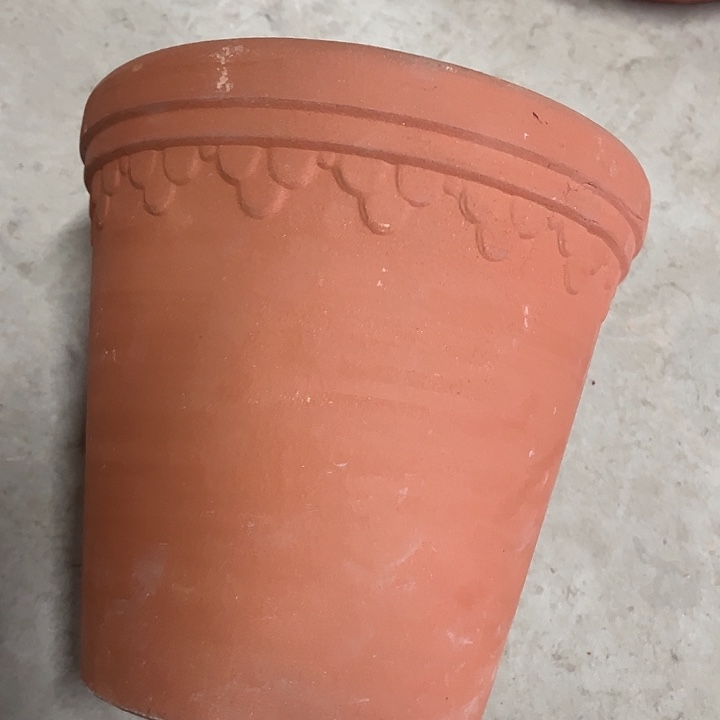 正品高度23厘米口径24