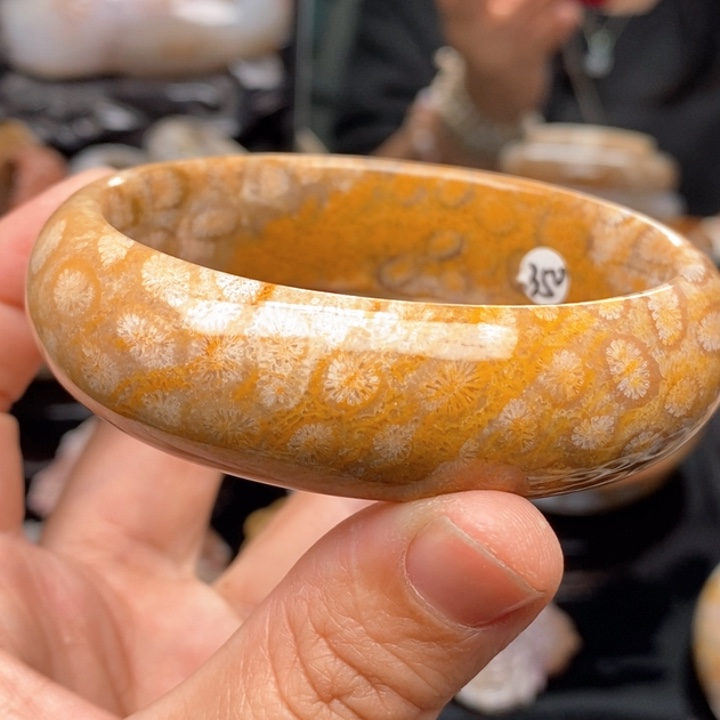 硅化珊瑚（珊瑚玉）手镯未镶嵌63@