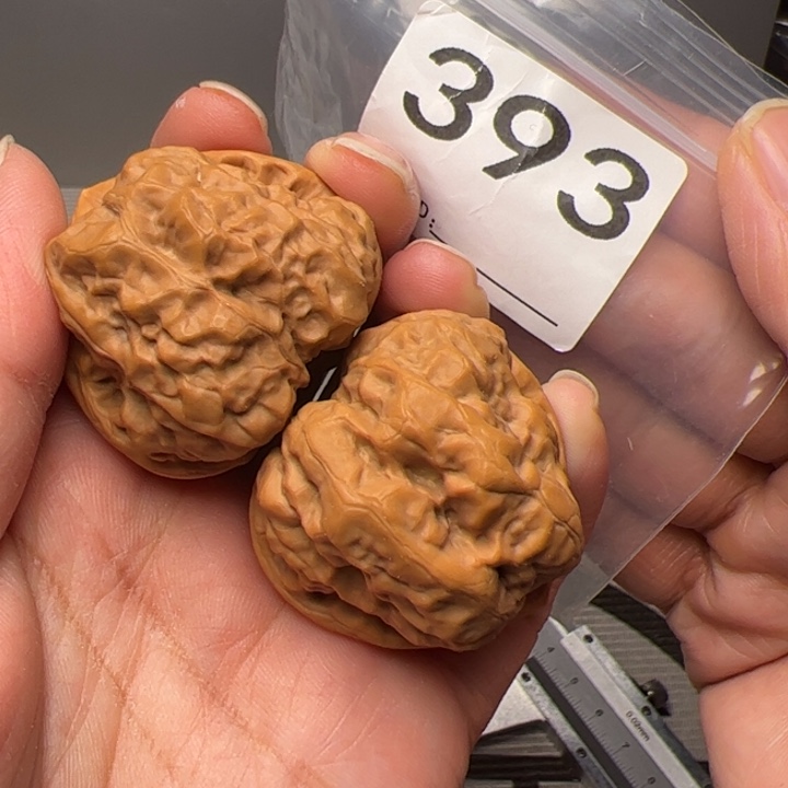 核桃39边42肚三角肌肉蛙393