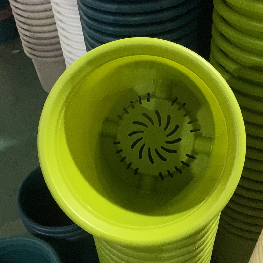 特价6#无拖果绿7