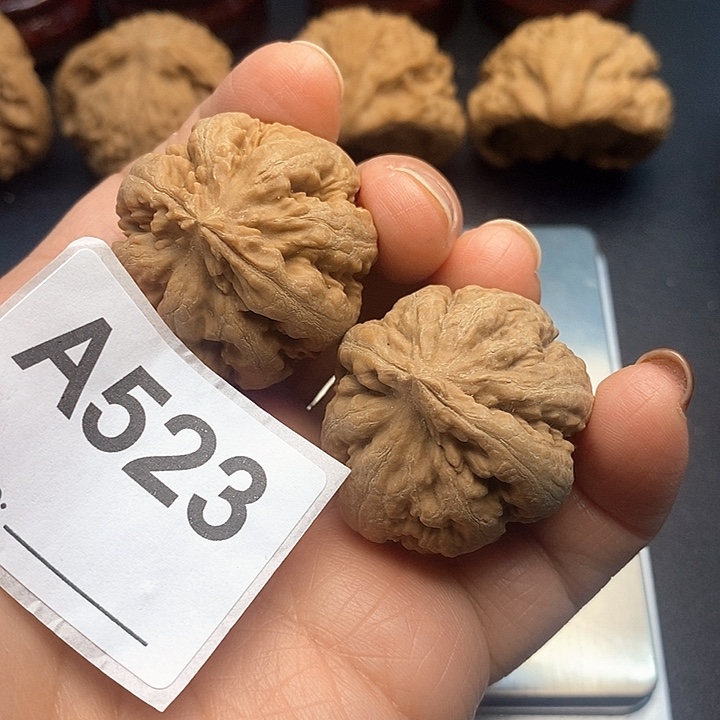 快***^核桃霸王龙3.3，肚子3.5