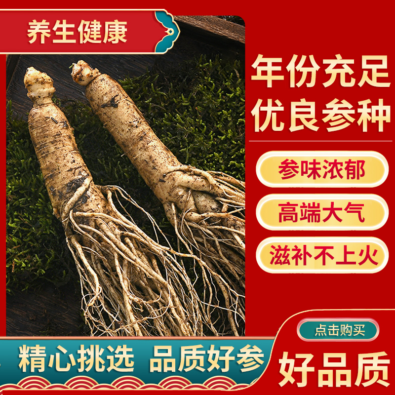 长白山人参【单支100克左右】原产地发货泡酒煮粥营养高山人参