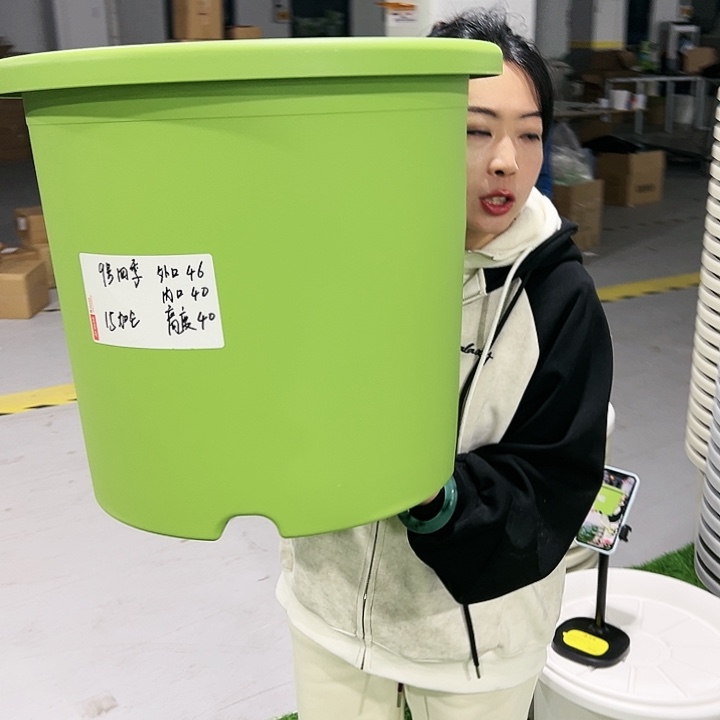 特价9号四季口46高40果绿4支无托