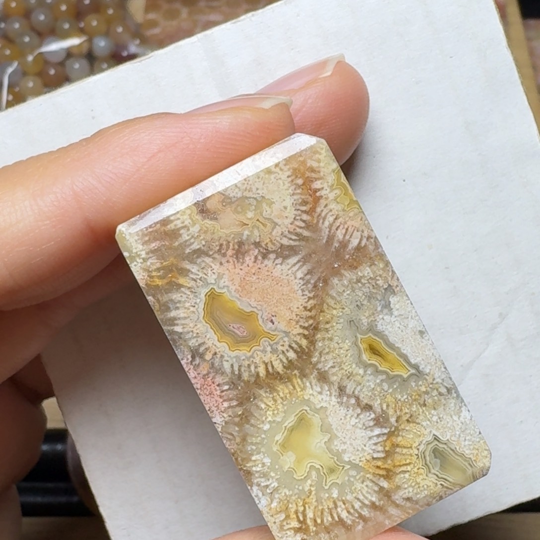 硅化玉带绿色调调未镶嵌