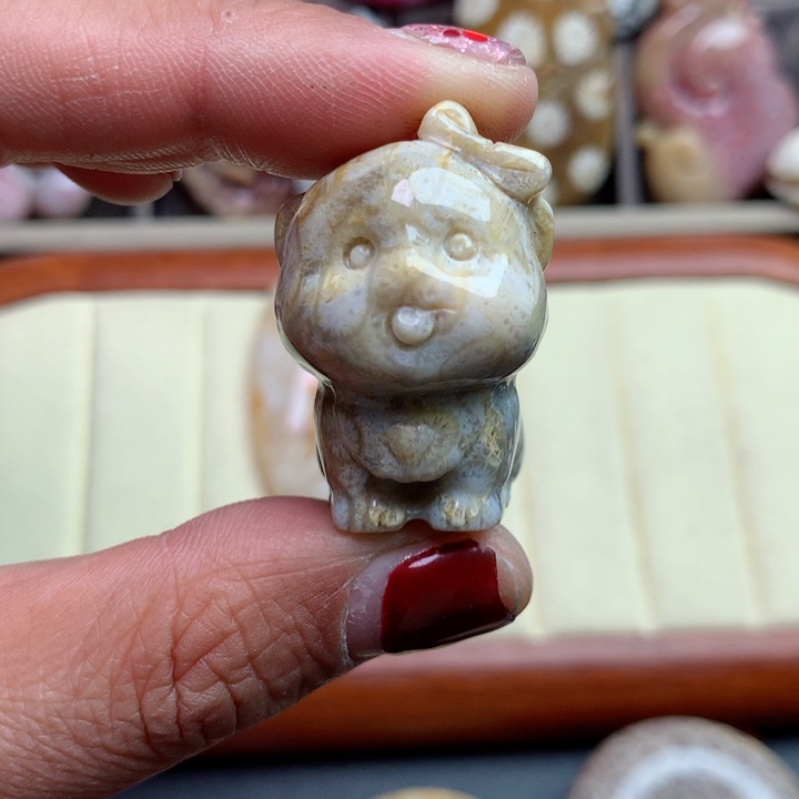 硅化珊瑚（珊瑚玉）颈饰未镶嵌