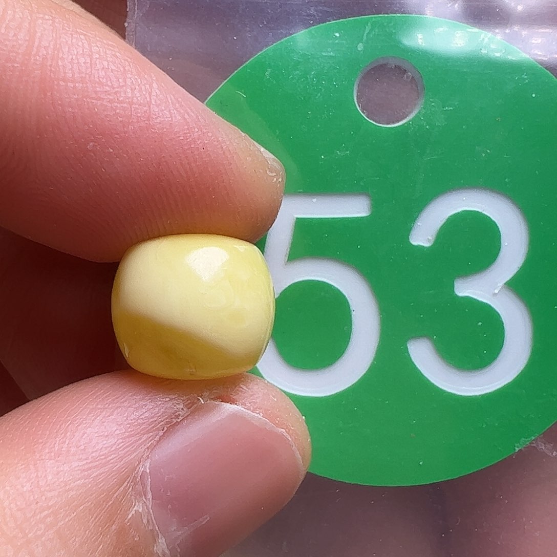 蜜蜡未镶嵌珠宝奇石10.4mm花粉