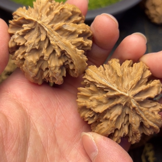 文玩核桃把件秦岭核桃12