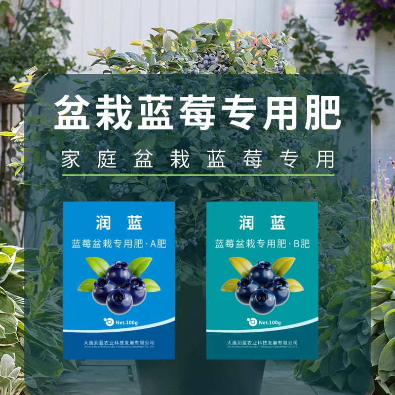  【福利】蓝莓AB肥专用肥料改善土质促进开花结果